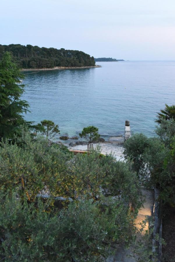 Buric House - M Suite - 95M2 And 54 M2 Terrace Rovinj Luaran gambar